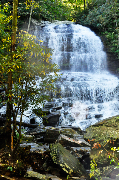 the gorgeous 90-foot tall Pearson's Falls
